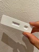 出勤しました!