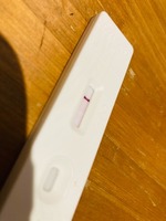 出勤
